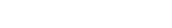 Insuralyzer