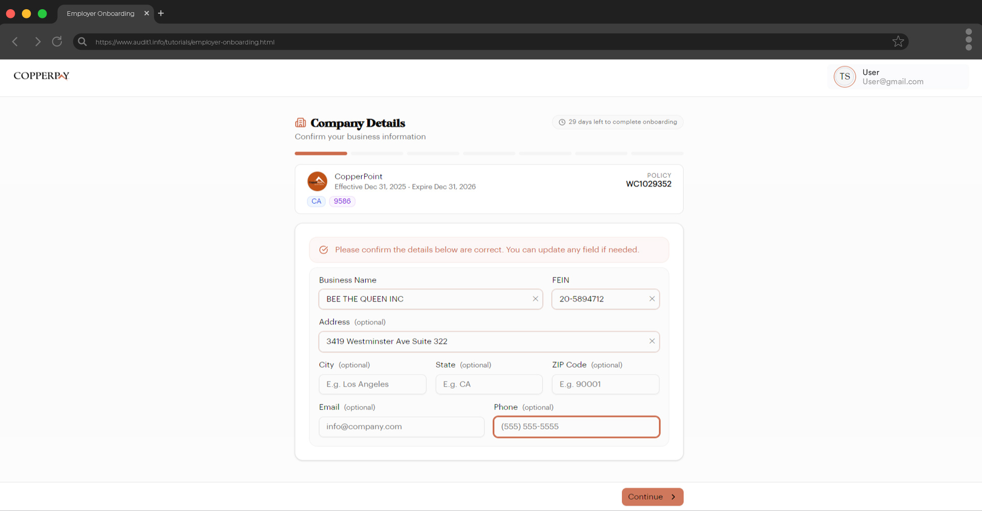 Company details wizard step